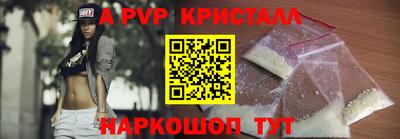 дмт Аргун