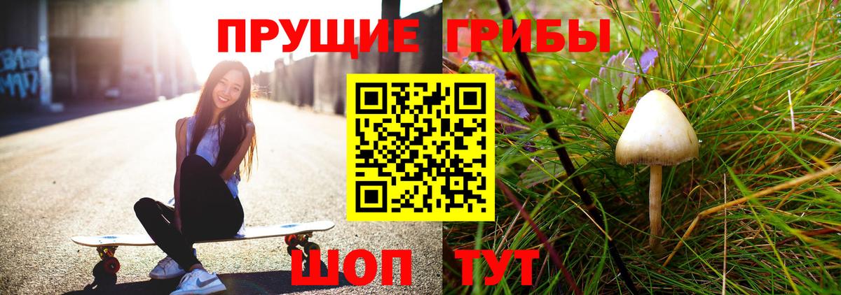 Псилоцибиновые грибы мухоморы  Вход с VPN  Псилоцибиновые грибы Psilocybine cubensis  Артём 