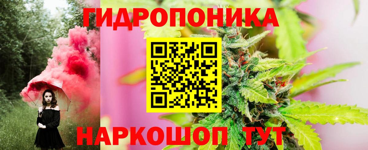 Артём  Шишки марихуана White Widow  Шишки марихуана VHQ  Вход с VPN 